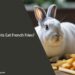 Can Rabbits Eat French Fries