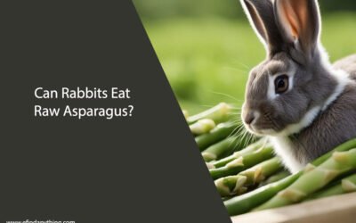 Can Rabbits Eat Raw Asparagus? A Comprehensive Guide