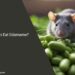 Can Rats Eat Edamame