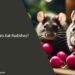 Can Rats Eat Radish Leaves