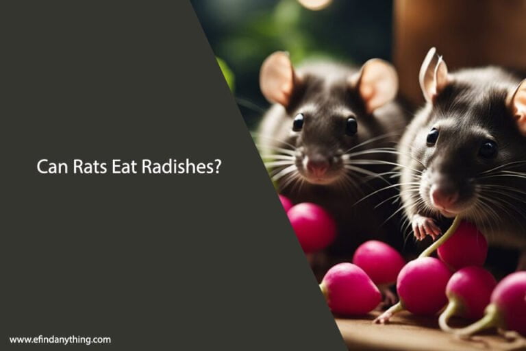 Can Rats Eat Radish Leaves