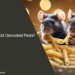 Can Rats Eat Uncooked Pasta