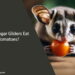 Can Sugar Gliders Eat Tomatoes