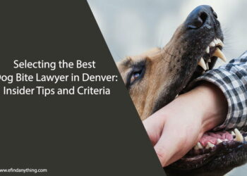 Best Dog Bite Lawyer in Denver
