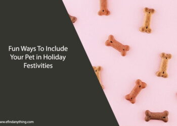 Fun Ways To Include Your Pet in Holiday Festivities