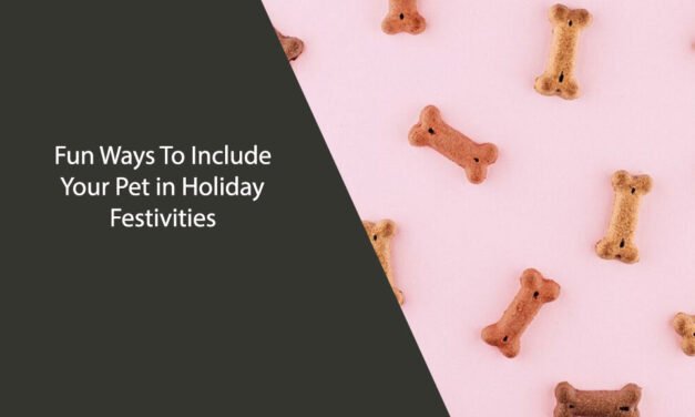 Fun Ways To Include Your Pet in Holiday Festivities