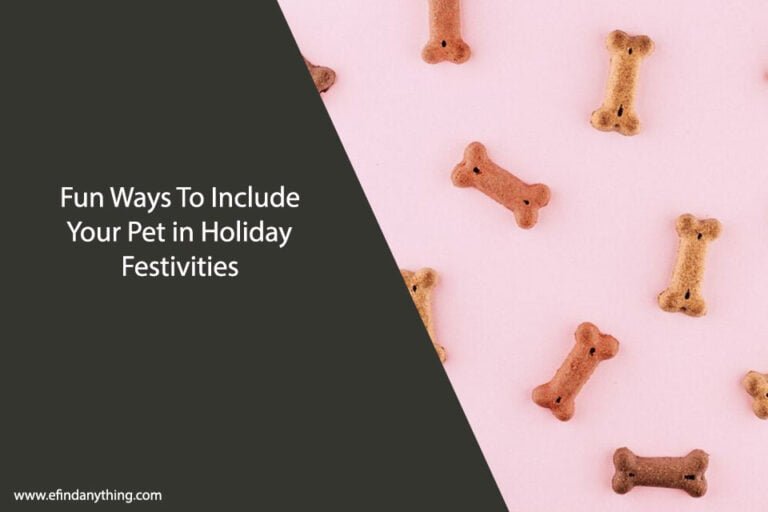 Fun Ways To Include Your Pet in Holiday Festivities
