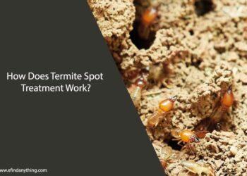 How Does Termite Spot Treatment Work