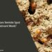 How Does Termite Spot Treatment Work