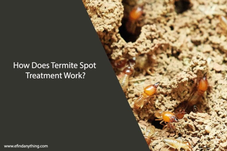 How Does Termite Spot Treatment Work