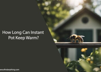 how long can a bee live in a house