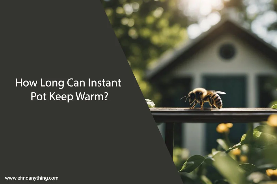 how long can a bee live in a house