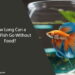 How Long Can a Betta Fish Go Without Food