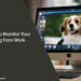 How to Monitor Your Dog from Work