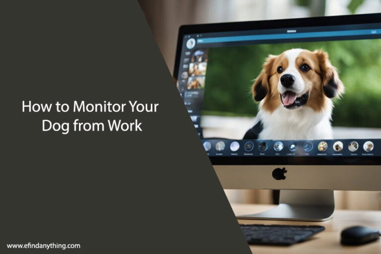 How to Monitor Your Dog from Work