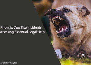 Phoenix Dog Bite Incidents