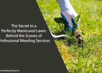 The Secret to a Perfectly Manicured Lawn: Behind the Scenes of Professional Weeding Services