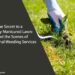 The Secret to a Perfectly Manicured Lawn: Behind the Scenes of Professional Weeding Services