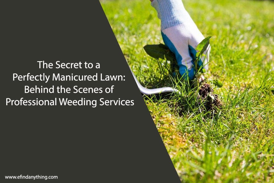 The Secret to a Perfectly Manicured Lawn: Behind the Scenes of Professional Weeding Services