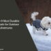 The Top 9 Most Durable Dog Coats for Outdoor Adventures