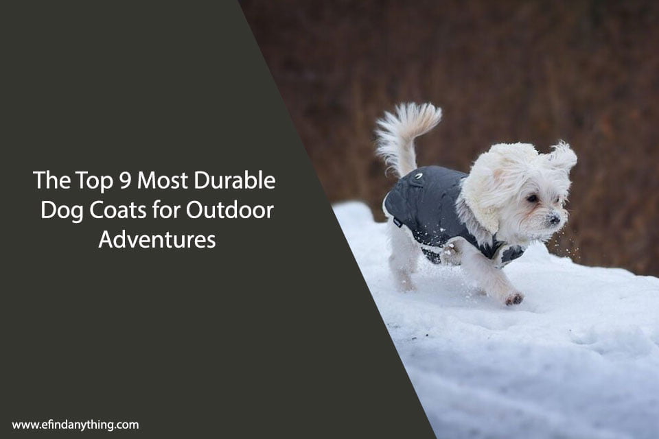 The Top 9 Most Durable Dog Coats for Outdoor Adventures