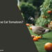 Can Geese Eat Tomatoes