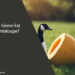 Can Geese Eat Cantaloupe