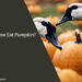 Can Geese Eat Pumpkin