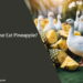 Can Geese Eat Pineapple