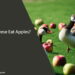 Can Geese Eat Apples