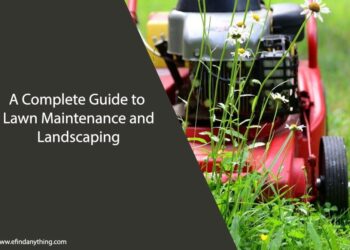 A Complete Guide to Lawn Maintenance and Landscaping