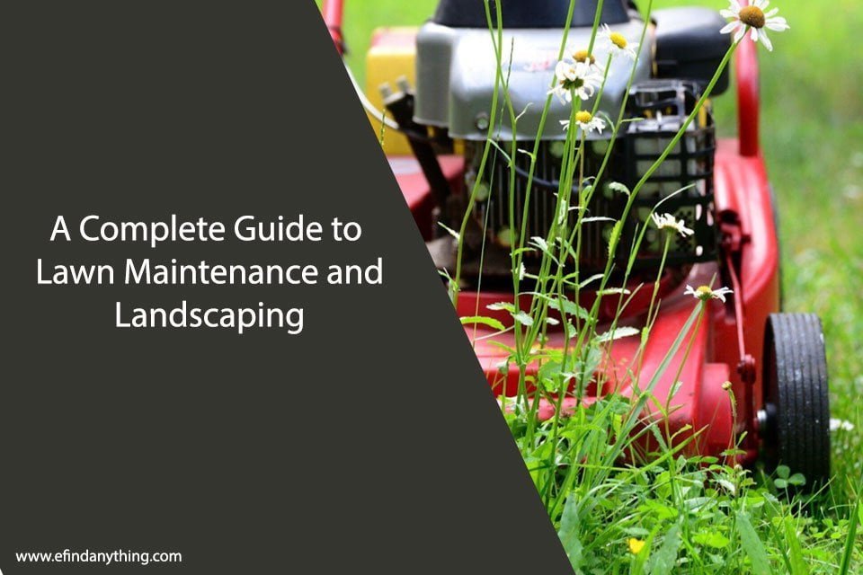 A Complete Guide to Lawn Maintenance and Landscaping