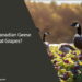 Can Canadian Geese Eat Grapes