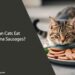 Can Cats Eat Vienna Sausages