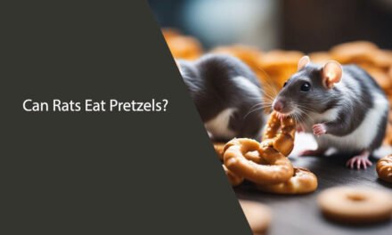 Can Rats Eat Pretzels? A Comprehensive Guide