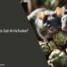 Can Rats Eat Artichoke