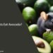 Can Rats Eat Avocado