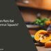 Can Rats Eat Butternut Squash