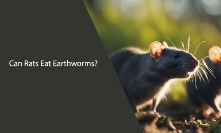 Can Rats Eat Earthworms? A Comprehensive Guide