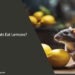 Can Rats Eat Lemons