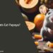 Can Rats Eat Papaya