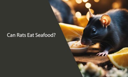 Can Rats Eat Seafood? A Comprehensive Guide