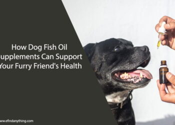 Dog Fish Oil Supplements