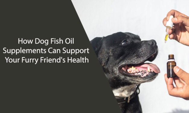 How Dog Fish Oil Supplements Can Support Your Furry Friend’s Health