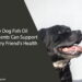 Dog Fish Oil Supplements