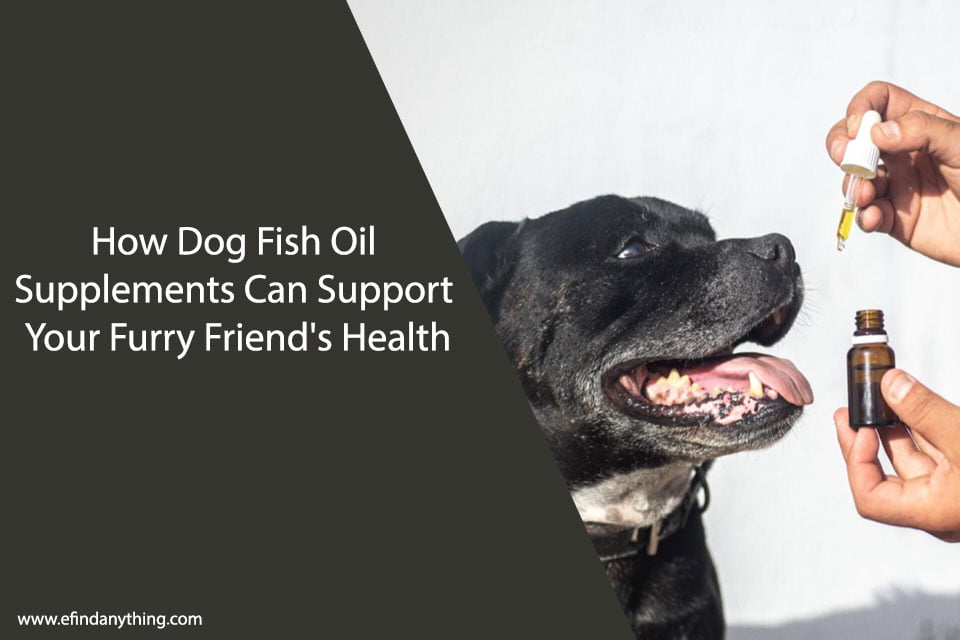 Dog Fish Oil Supplements