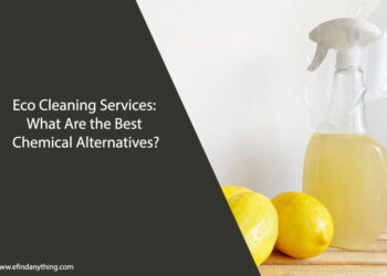 Eco Cleaning Services