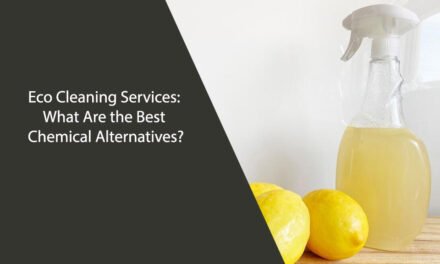 Eco Cleaning Services: What Are the Best Chemical Alternatives?
