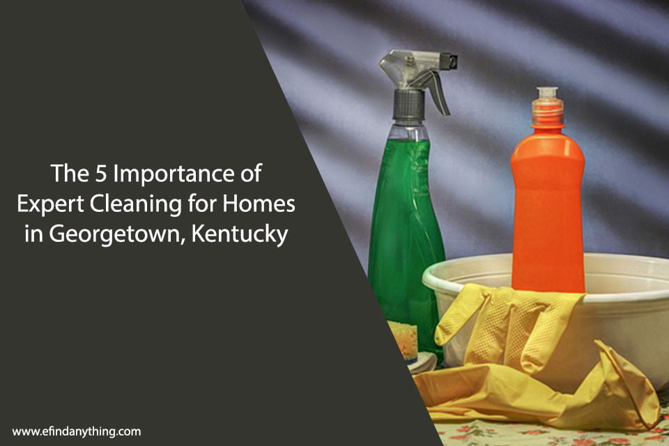 Expert Cleaning for Homes in Georgetown