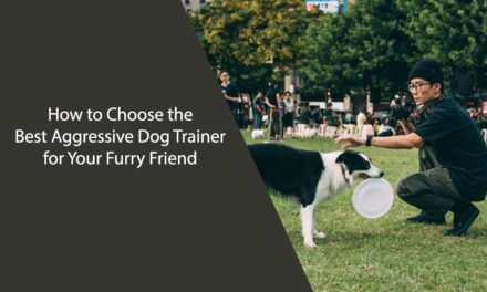 How to Choose the Best Aggressive Dog Trainer for Your Furry Friend
